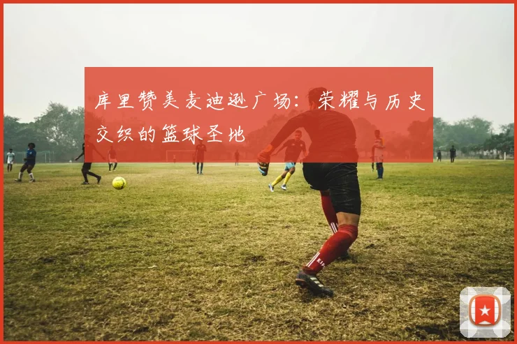 库里赞美麦迪逊广场：荣耀与历史交织的篮球圣地