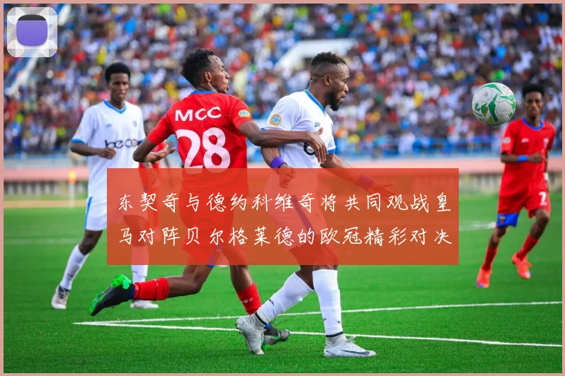 东契奇与德约科维奇将共同观战皇马对阵贝尔格莱德的欧冠精彩对决